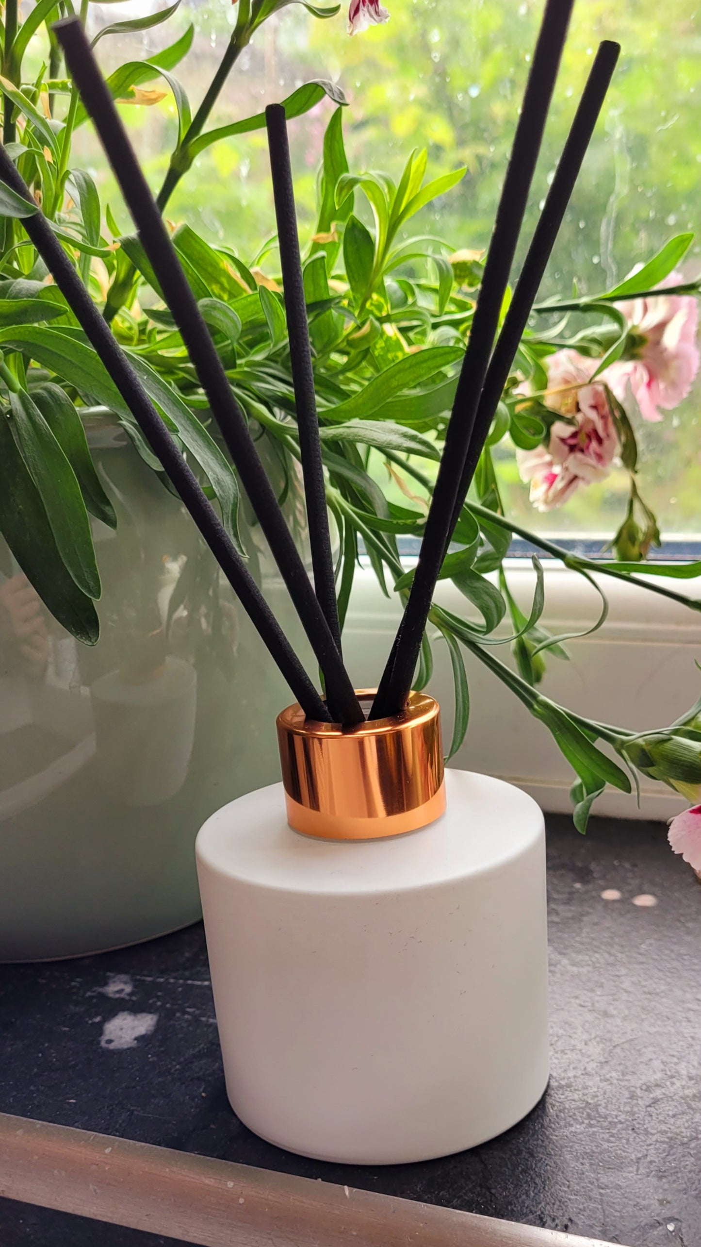 100ml White Reed Diffuser